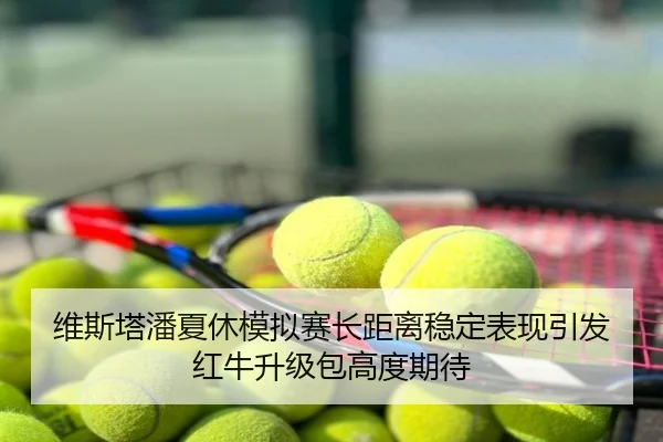 维斯塔潘夏休模拟赛长距离稳定表现引发红牛升级包高度期待
