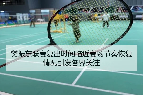 樊振东联赛复出时间临近赛场节奏恢复情况引发各界关注